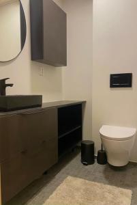 Levi Ski IN Ski OUT Premium VillaWestWind B