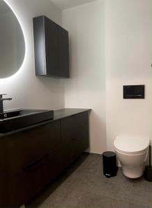 Levi Ski IN Ski OUT Premium VillaWestWind B