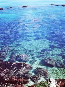 Magnolia casa di campagna Costa dei Trabocchi