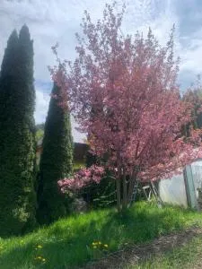 Casa Ana - 萨提克