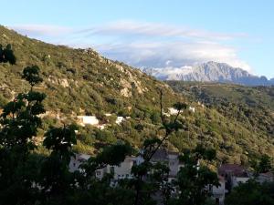 Maisons de vacances Casa di Pilou - Maison et jardin pres de la mer (Corse) : photos des chambres