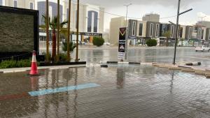 المصرية السعودية للشقق المخدومة Ms