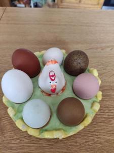 Casa vacanze il Pastore Tedesco