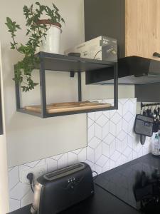 Appartements Ginkobiloba : Appartement cosy en coeur de ville : photos des chambres