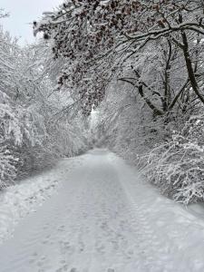 Petras Ferienwohnung