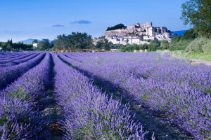 Villas Maison provencale dans un cadre bucolique : photos des chambres