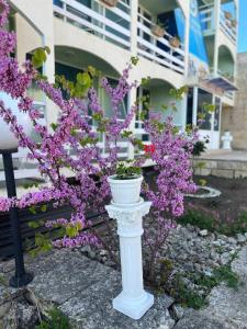 Хотел Диамант Hotel Diamond