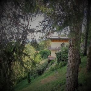 La Casa di Anna nel Parco delle Dolomiti Croce d Aune 1000 ml slm