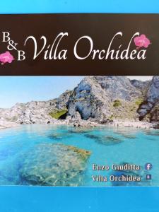 B&B villa orchidea