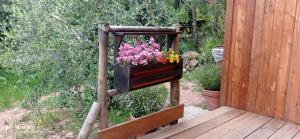 Yurta Agricamping Villamagra
