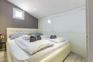 Alpha loft 1BR apartment in center 