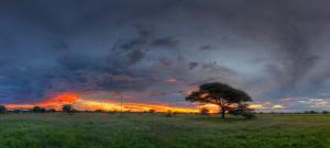 Khoi-Khoi Guesthouse