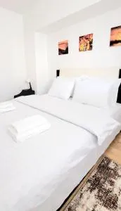 Brancoveanu Apartament's - Belu