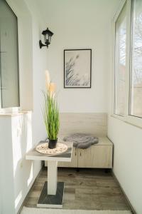 Popasul Dacului Călător