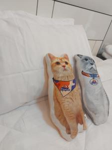 Cat Mama Penthouse Vtwin service apartment