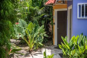 jaco lodge adults only