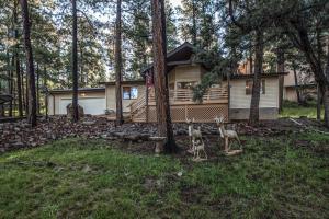 Season 4 Art - 3hvězdičkové hotely ve městě Ruidoso