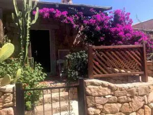 Buganvillea Cottage: un nido a 200 mt. dal mare - Porto Pollo
