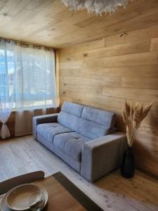 Appartements Appart 4 a 6 pers skis aux pieds. ETE / HIVER : photos des chambres