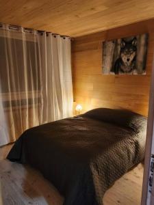 Appartements Appart 4 a 6 pers skis aux pieds. ETE / HIVER : photos des chambres