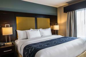 King Suite - Non-Smoking room in Comfort Suites Fort Lauderdale Airport South & Cruise Port