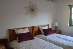 Quinta de São Domingos house - Juncal de Cima