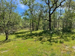 Campings Lodges du Bois Dodo - ancien Camping de Bois Redon : photos des chambres