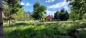 Domek letniskowy ŚwierkoweAgro Żary