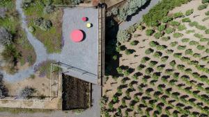 Tenuta di Castellaro Winery & Resort