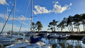 B&B / Chambres d'hotes Agreable Maison sur le Bassin d'Arcachon : photos des chambres