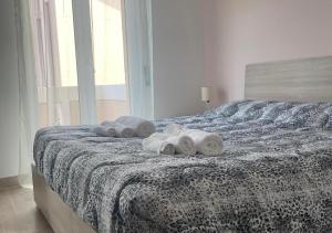 La Magnolia Apartments V Sunflower