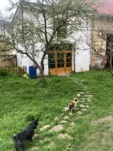 Staré děkanství - Toužim