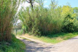 Appartements Appartement en Camargue : Appartement 1 Chambre