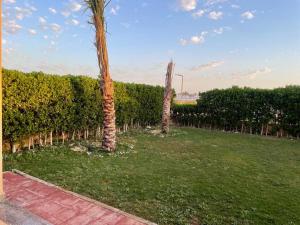 Villa - KOUN - Ras Al Hekma