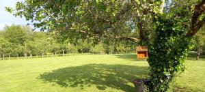 Maisons de vacances Gites le clos du verger : photos des chambres