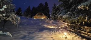 Chalets Chalet de la Grimpette au coeur de Gerardmer : photos des chambres