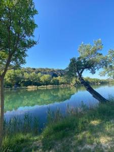 Appartements Coeur de provence : photos des chambres