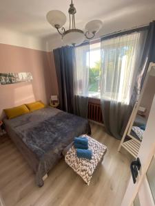Quiet and peaceful apartment close to the city center
