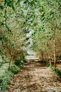 Maleny Country Estate