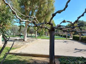 T1 climatisé avec jardin, piscine, tennis, à 750m de la plage - Parc Des Oliviers - FR-1-610-85