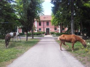 Country House Villa delle Rose Agriturismo