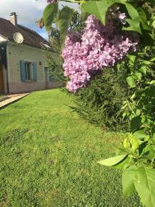 Maisons de vacances Cottage de charme a la campagne : photos des chambres