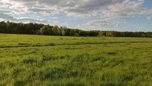 Kolorowe Wzgórze agroturystyka i konie - Żelechów