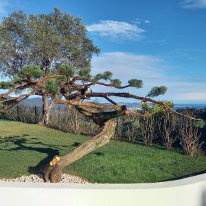 Villas VILLA CONTEMPORAINE VUE PANORAMIQUE & MER PISCINE CHAUFFEE : Villa avec Piscine Privée