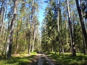 Słoneczne Mazury - Dom Wakacyjny
