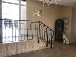 Spacious, 1 Bed Apt, Dawn Park