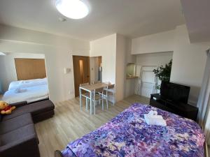 Downtown area Spacious cozy room Susukino IK601