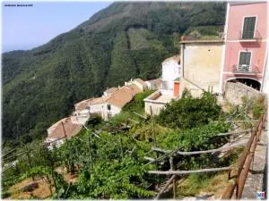 A casa di nonna Elvira - Albori