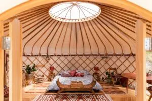 Luxury yurt glamping at Littlegrove - Adventure Bay