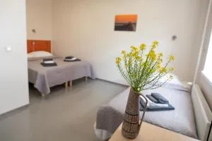 Haapsalu Kutsehariduskeskuse hostel - Salutaguze Haapsalu Kutsehariduskeskuse hostel - Salutaguze